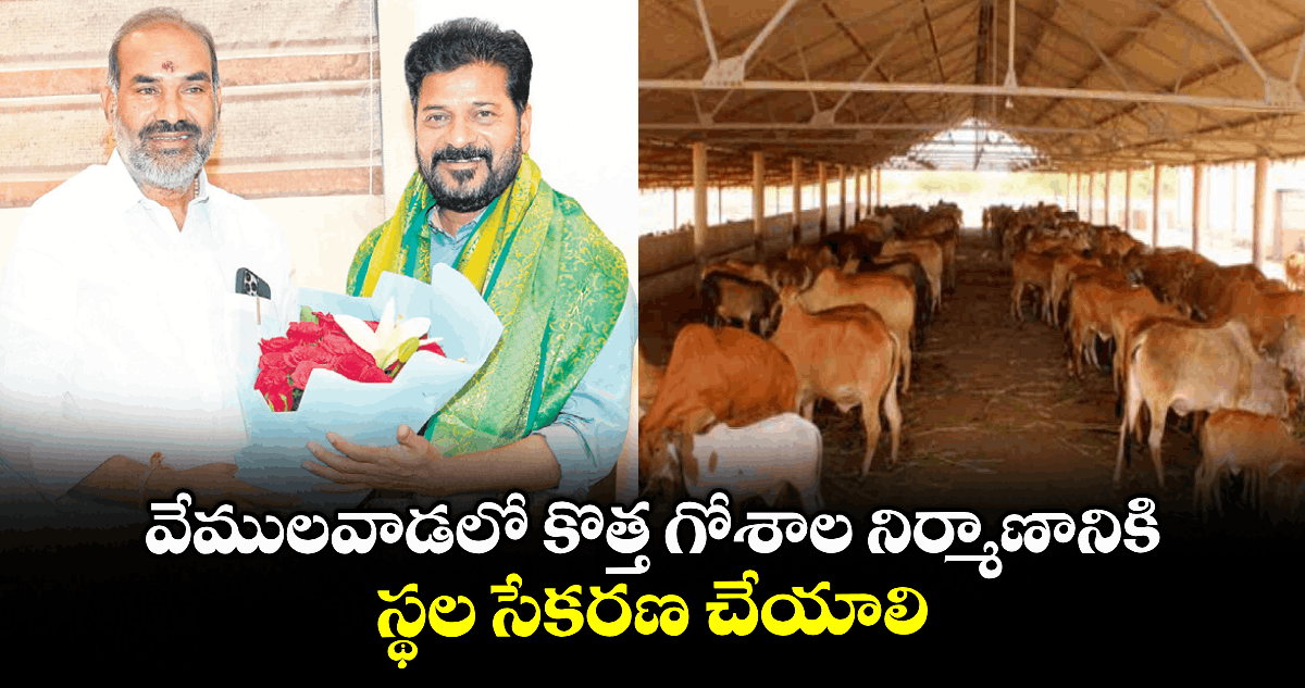 వేములవాడలో కొత్త గోశాల నిర్మాణానికి స్థల సేకరణ చేయాలి..విప్ ఆది శ్రీనివాస్కు సూచించిన సీఎం